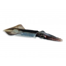leurre-souple-top-sea-squidart-brown.jpg
