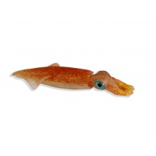 leurre-souple-top-sea-squidart-fierce.jpg