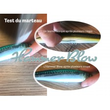 leurre-top-sea-hammer-blow-test-coup-de-marteau.jpg leurre-top-sea-hammer-blow-test-coup-de-marteau.jpg