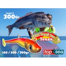 leurre-top-sea-shad-denti-pro-texan-en-peche.jpg leurre-top-sea-shad-denti-pro-texan-en-peche.jpg