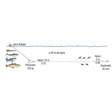 ligne-de-traine-bateau-oc-ane-ecoline-2.jpg ligne-de-traine-bateau-oc-ane-ecoline-2.jpg