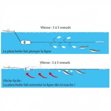 ligne-de-traine-flashmer-aqua-nemo-7.jpg