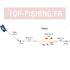 ligne-traine-aqua-plumes2.jpg