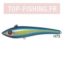 meet-h73.jpg