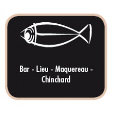 mitraillette-ragot-squid-skirt-2.jpg
