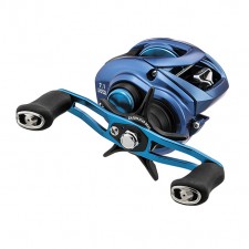 moulinet-daiwa-coastal-tws-2019.jpg