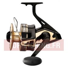 moulinet-daiwa-gold-silver-100b.jpg moulinet-daiwa-gold-silver-100b.jpg