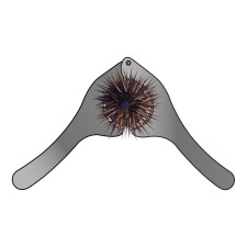 pince-a-oursin-flashmer-pro.jpg