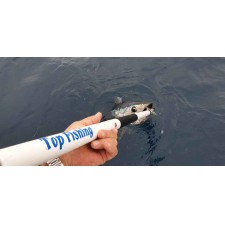 pince-a-thon-top-fishing-5.jpg pince-a-thon-top-fishing-5.jpg
