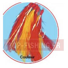plumes-filaments-couleur.jpg plumes-filaments-couleur.jpg