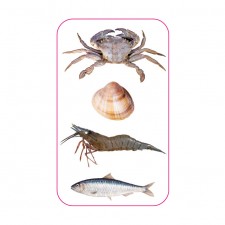 sac-a-poisson-et-coquillage-flashmer-2.jpg sac-a-poisson-et-coquillage-flashmer-2.jpg