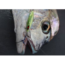 slow-jig-maxel-drunker-jigs-40g-8.jpg
