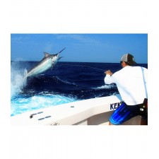 t-shirt-pelagic-aquatek-couleur-blanc-3.jpg t-shirt-pelagic-aquatek-couleur-blanc-3.jpg