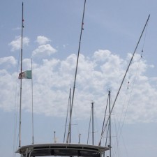 tangon-telescopique-5m-gibi-2.jpg tangon-telescopique-5m-gibi-2.jpg