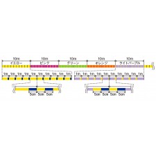 tresse-varivas-avani-jigging-x8-300-m-2.jpg tresse-varivas-avani-jigging-x8-300-m-2.jpg