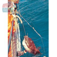treuil-xl-500-en-peche.jpg