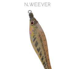 turlutte-dtd-soft-pauk-2-0n.weever.jpg turlutte-dtd-soft-pauk-2-0n.weever.jpg