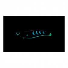 turlutte-yo-zuri-aurie-q-search-double-glow-2-5-10-5g-11-dlrp.jpg turlutte-yo-zuri-aurie-q-search-double-glow-2-5-10-5g-11-dlrp.jpg