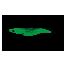turlutte-yo-zuri-sushi-q-bait-bottom-3-5-6-tysb12lsli-2.jpg turlutte-yo-zuri-sushi-q-bait-bottom-3-5-6-tysb12lsli-2.jpg