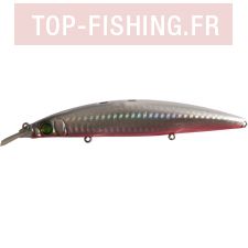 zonk120-redbelly.jpg zonk120-redbelly.jpg