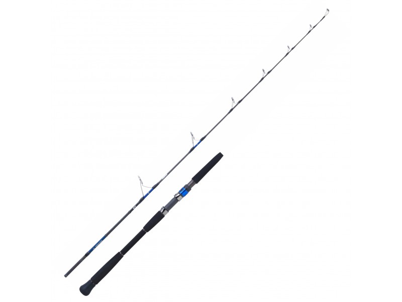 canne-daiwa-saltiga-hiramasa-58-hs.jpg