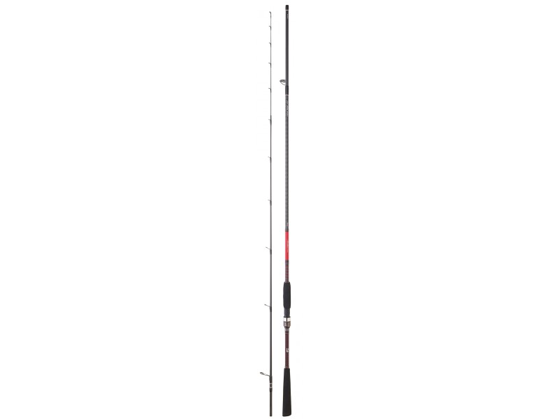 canne-daiwa-saltist-tenya-2-slt802mhbf.jpg