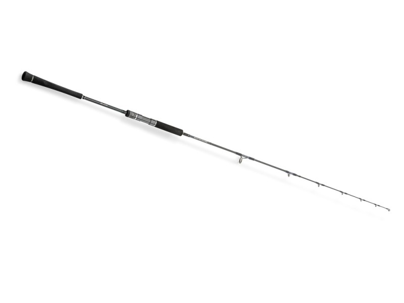 Canne Hearty Rise Skywalker Slow Jigging Spinning