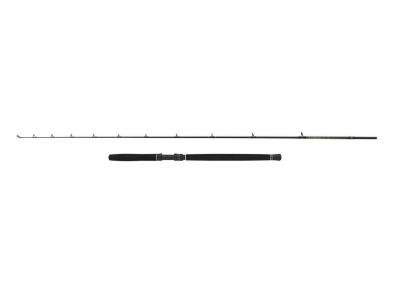 canne-penn-regiment-iii-solid-carbon-boat.jpg