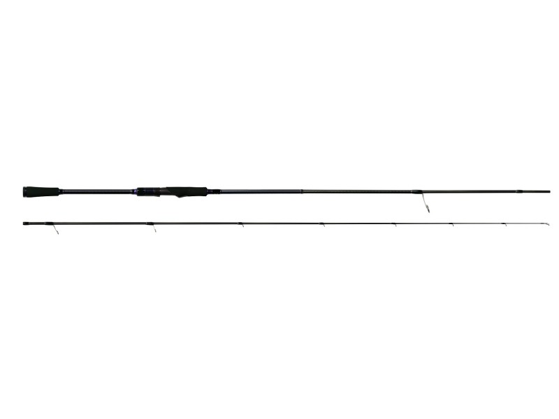 canne-rapala-squidro-eging.jpg