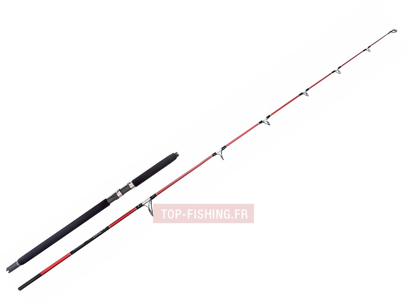 canne-red-s-hunter-2m60-50lbs.jpg