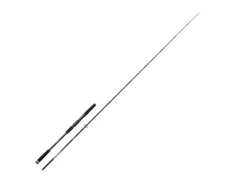canne-sakura-ionizer-g2-spinning-power-game.jpg