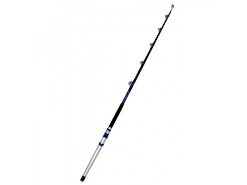 canne-samon-tuna.jpg
