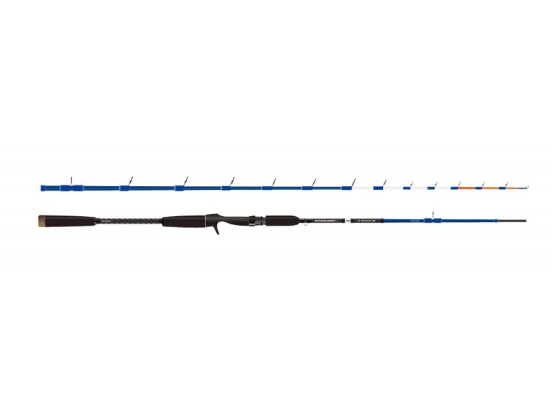canne-savage-gear-sgs2-ika-jig.jpg