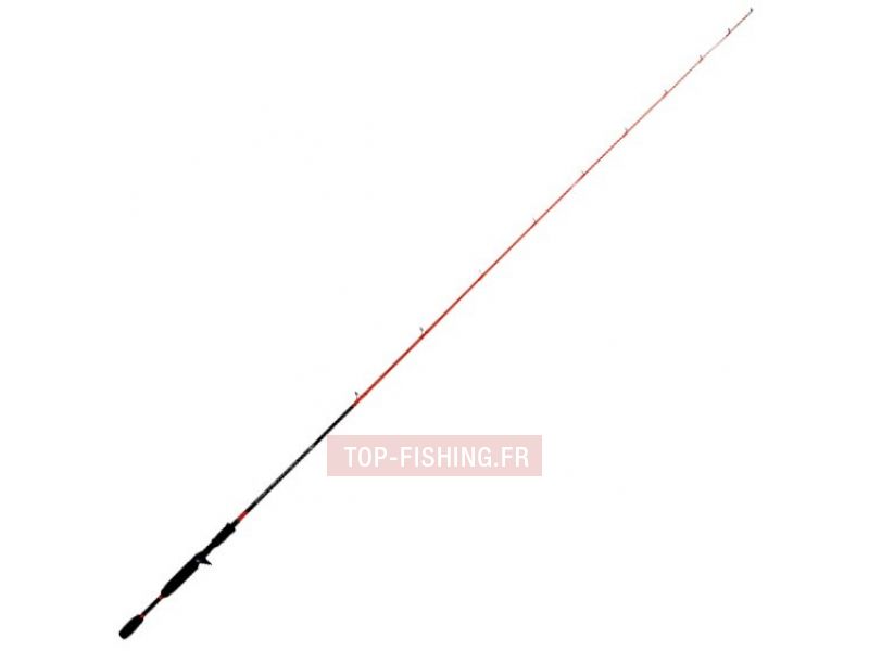 canne-tenryu-injection-bc-67mh.jpg