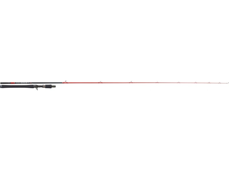 Canne Tenryu Injection BC 76H