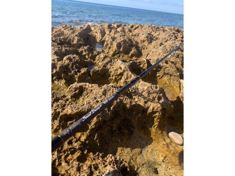 canne-top-fishing-sound-decoy.jpg