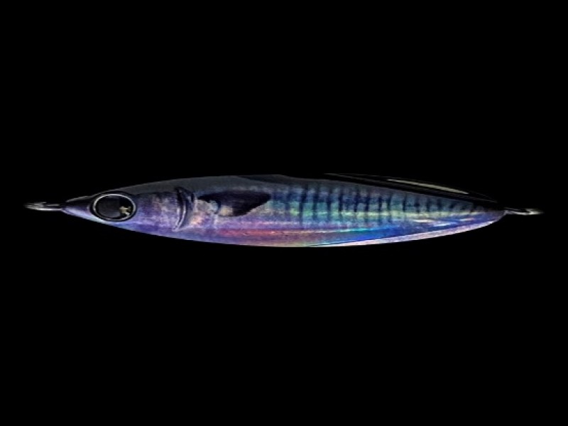 casting-jig-zeake-s-bit-30g-082.jpg