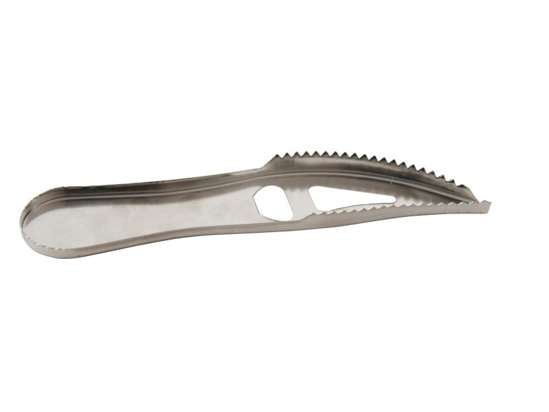 ecailleur-poisson-inox-ragot.jpg