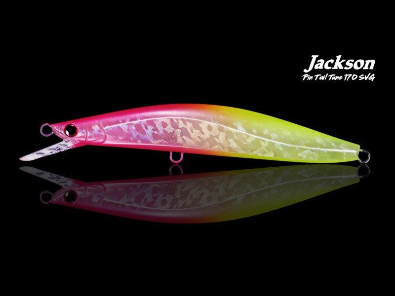 Leurre Coulant Jackson Pintail Tune 170 SVG