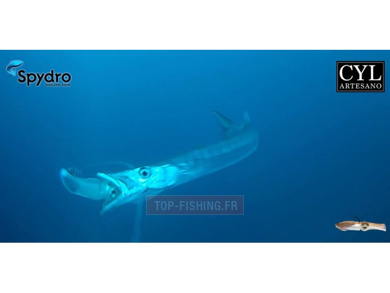 leurre-cyl-artesano-real-squid-160mm-video.jpg