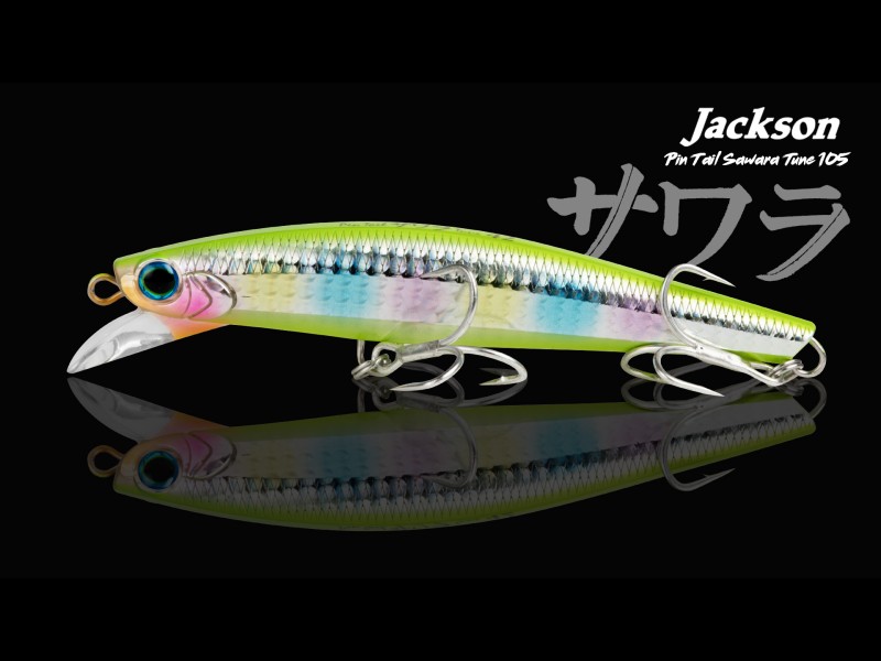 Leurre Jackson Pintail Sawara Tune 105mm