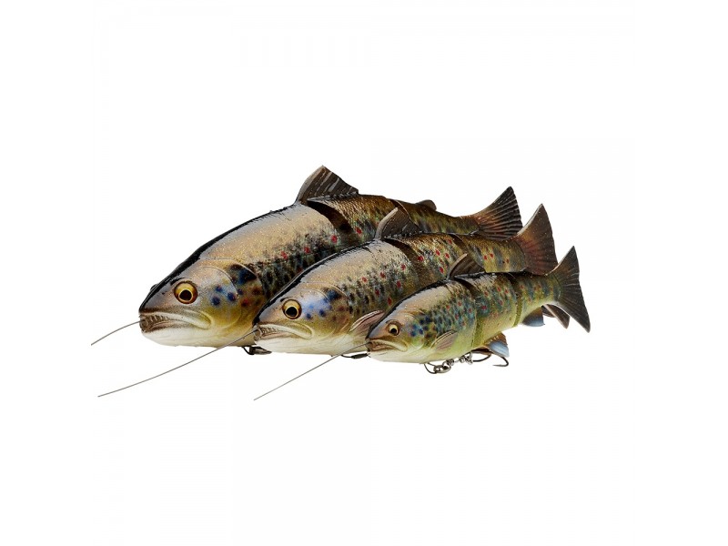 leurre-souple-arme-savage-gear-4d-line-thru-trout-250mm-5.jpg