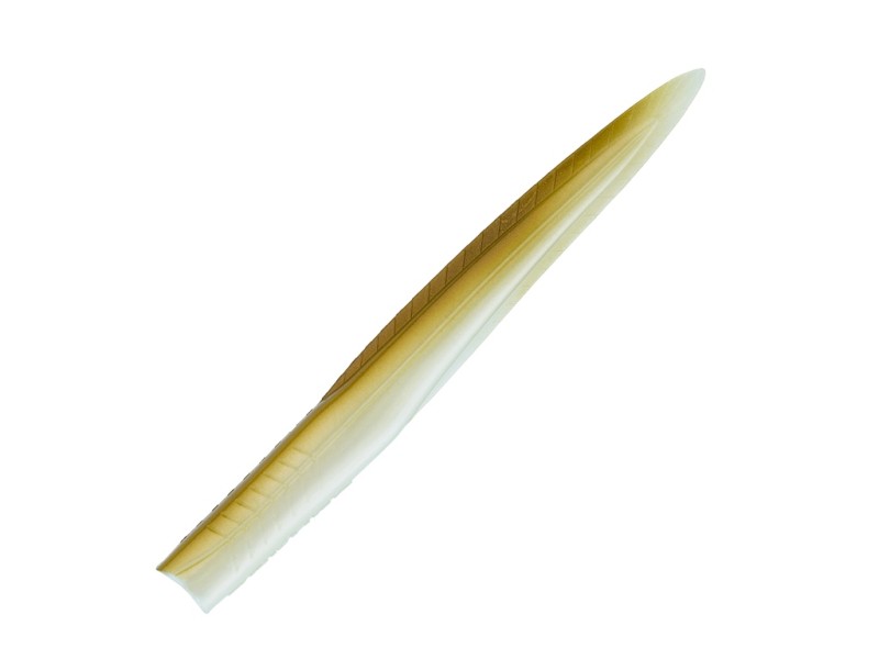 Leurre Souple Sakura Majikeel 165mm-007