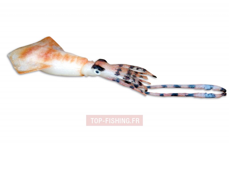 leurre-souple-top-sea-squidart-krak.jpg
