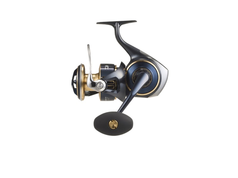 Moulinet Daiwa Saltiga 2025--8000-h