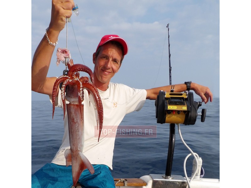pack-grands-fonds-calamars-expert.jpg