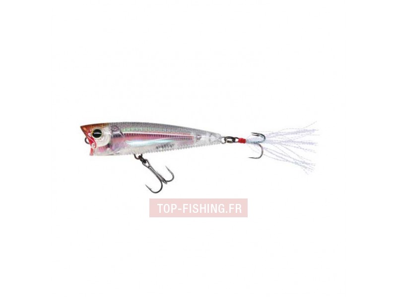 popper-yo-zuri-3dr-65mm.jpg