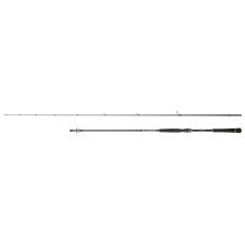 Canne Hearty Rise Salt Monster SW Spinning