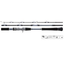 Canne Hearty Rise Skywalker Jigging Casting