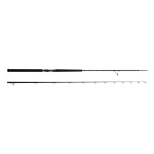 canne-okuma-f-15-shore-jigging.jpg